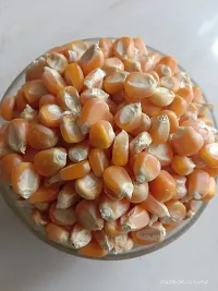 Uzhavan Unavu - Organic - Corn / Maize/ Makka/Makkajonna/Makka Chollam -1 kg-thumb2