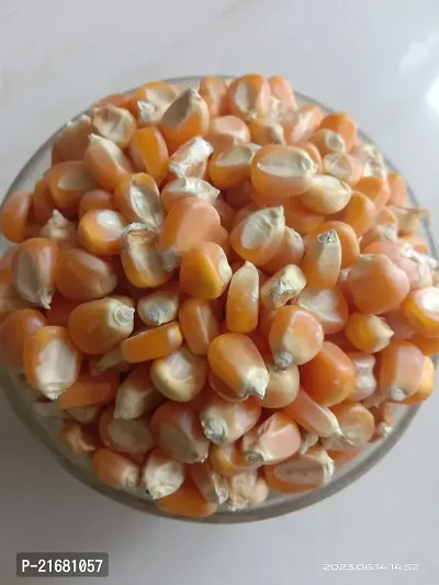 Uzhavan Unavu - Organic - Corn / Maize/ Makka/Makkajonna/Makka Chollam -1 kg-thumb3
