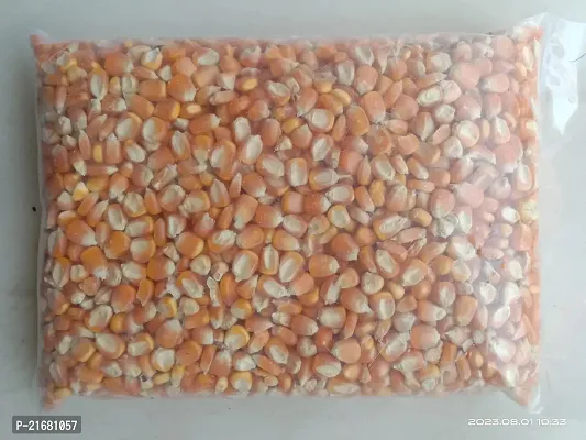 Uzhavan Unavu - Organic - Corn / Maize/ Makka/Makkajonna/Makka Chollam -1 kg-thumb4