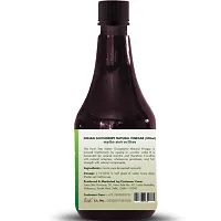 Herbal- Indian Gooseberry Natural Vinegar | Fermented, Raw, Unfiltered Amla Vinegar (300ml)-thumb3