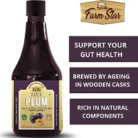 Herbal -Java Plum Natural Vinegar | Fermented, Raw, Unfiltered Jamun Vinegar (300ml)-thumb1