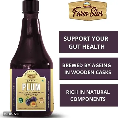 Herbal -Java Plum Natural Vinegar | Fermented, Raw, Unfiltered Jamun Vinegar (300ml)-thumb2