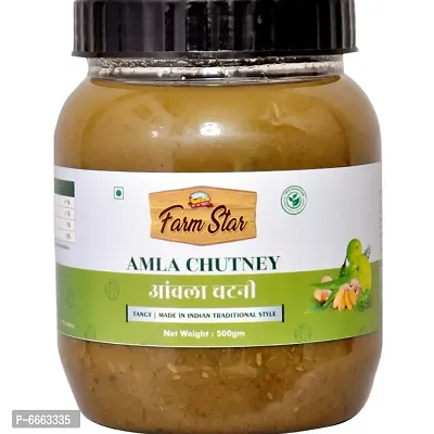 Amla Chutney | Indian Homemade Tangy Sauce (500gram)-thumb0