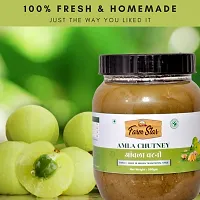 Amla Chutney | Indian Homemade Tangy Sauce (500gram)-thumb1