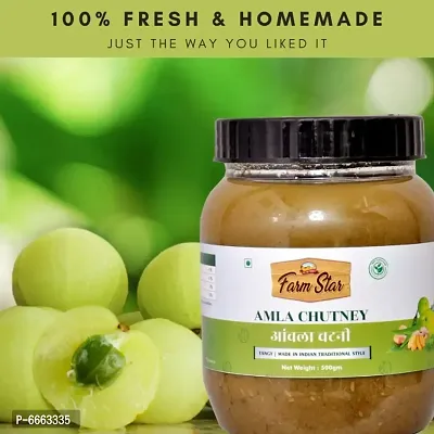Amla Chutney | Indian Homemade Tangy Sauce (500gram)-thumb2