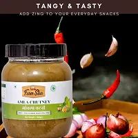 Amla Chutney | Indian Homemade Tangy Sauce (500gram)-thumb2