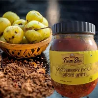 FARM STAR - AMLA ACHAR &ndash; INDIAN GOOSEBERRY PICKLE - 500 GM-thumb2