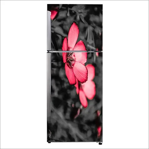 Best Selling Wall Decor 