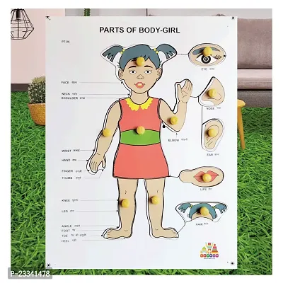 Wooden Girls Parts of Body Puzzle Board for Kids - Age 3+ years (Pack of 1Pc)