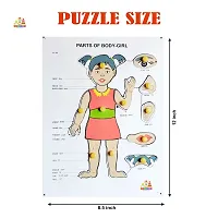 Wooden Girls Parts of Body Puzzle Board for Kids - Age 3+ years (Pack of 1Pc)-thumb3