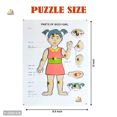 Wooden Girls Parts of Body Puzzle Board for Kids - Age 3+ years (Pack of 1Pc)-thumb4