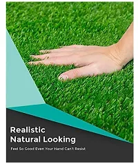 Grass Door Mat pack of 1-thumb1