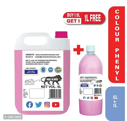 BUY NOHARA COLOUR PHENYL 5L AND GET 1L FREE-thumb2