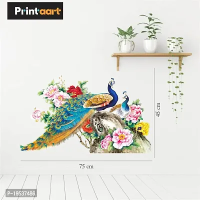 Printaart Beautiful Peacock Birds Wall Art Elegant Royal Bird Wall Sticker for Kids Room And Living Room Decor Bedroom Office (PVC Vinyl 45 cm x 30 cm Multicolour)-thumb2