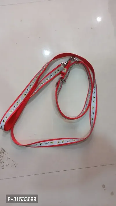 Adjustable Dog Collar and Leash Set