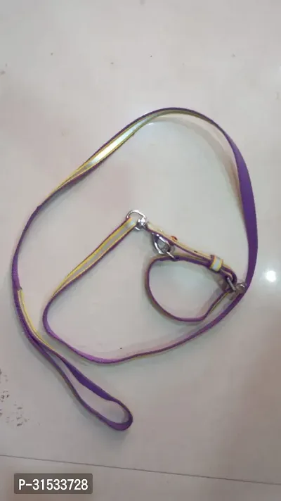 Adjustable Nylon Dog Neck Leash