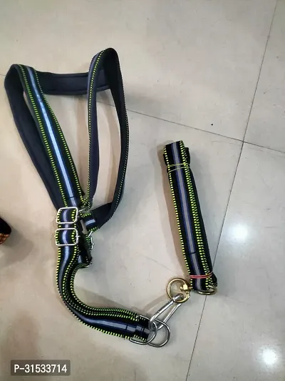 Adjustable Nylon Dog Neck Leash