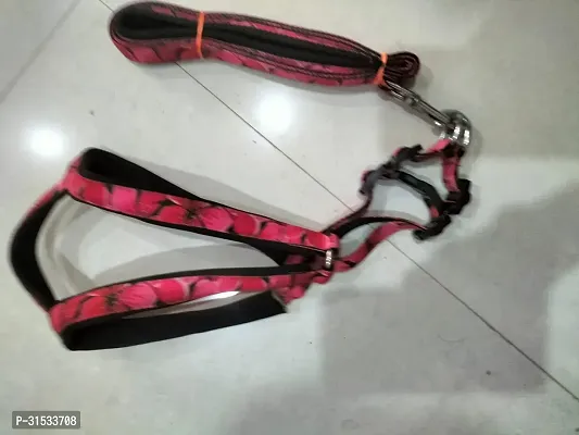 Adjustable Nylon Dog Neck Leash