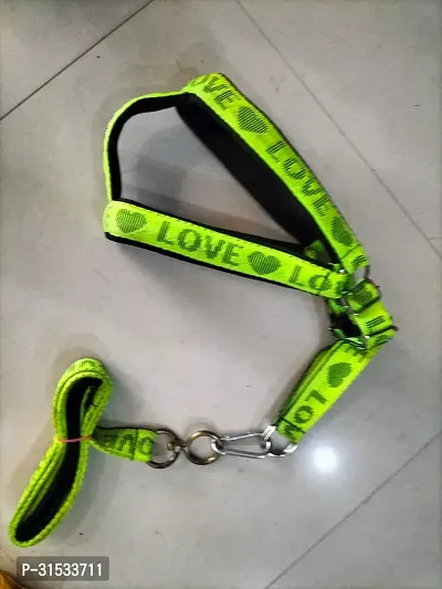 Adjustable Nylon Dog Neck Leash