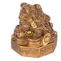Golden Vastu FengShui Frog -C Figurine For Prosperity (8 cm x 8 cm x 9 cm, Golden)-thumb2