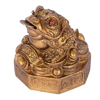 Golden Vastu FengShui Frog -C Figurine For Prosperity (8 cm x 8 cm x 9 cm, Golden)-thumb1