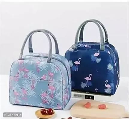 Insulated Lunch Bag For Women Pack Of 2