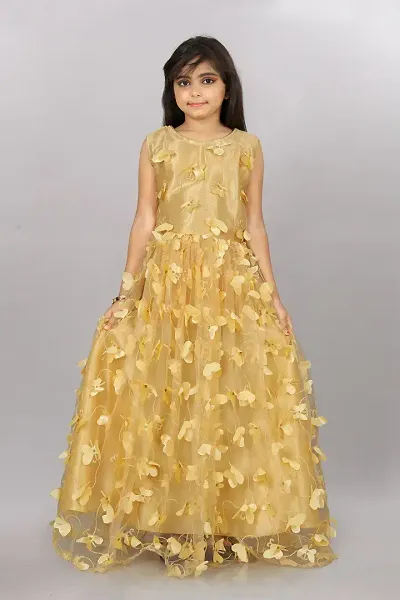 Girls Net Embroidered Gown Dress