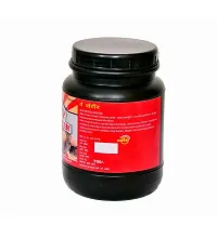 GG Whey Protien Powder 500 Gm Pack of 1-thumb2