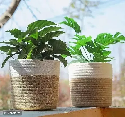 Multipurpose Jute Planter Pots- Pack Of 2-thumb0