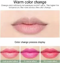 Gel Lipstick Makeup Waterproof Nutritious Transparent Lipstick-thumb2