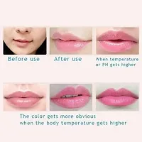 BEST MOISTURIZING GLOSSY LIPSTICK COMBO-thumb3