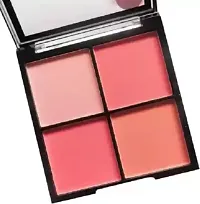 BLUSHER PALLETE 4 IN 1 MATTE ALL SKIN TONE TYPE BLUSHER (MULTICOLOUR)-thumb1