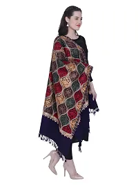 Kashmiri Wool Woven Women Shawl  (Black)-thumb1