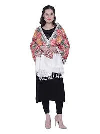 Kashmiri  Wool Embroidered Women Shawl  (Multicolor)-thumb3