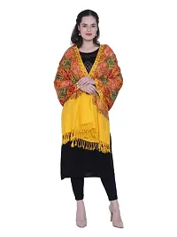 Kashmiri  Wool Embroidered Women Shawl  (Multicolor)-thumb3