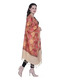 Kashmiri  Wool Embroidered Women Shawl  (Multicolor)-thumb1