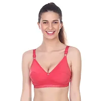 Classic Cotton Solid Bras for Women, Pack of 2-thumb3