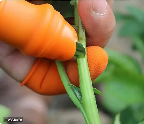 Thumb Knife Finger Cutter with Silicon Finger Cutting Vegetables Plant PACK OF 1