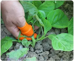 Thumb Knife Finger Cutter with Silicon Finger Cutting Vegetables Plant PACK OF 1-thumb1