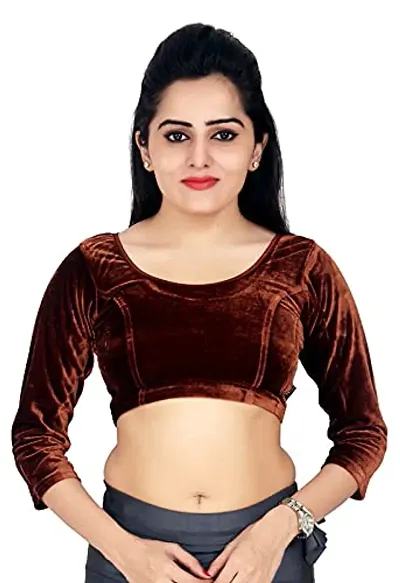 Carrel Women's Velvet Saree Blouse - AGSPL-3083-BL-02-New-2