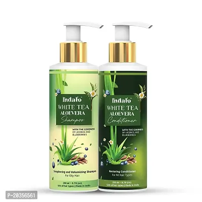 Indalo White Tea Aloevera Strengthening Shampoo (200ml) and Conditioner (200ml) Combo with Licorice and Blue Berries for Oily Hair Paraben Free Sulphate Free For Men and Women