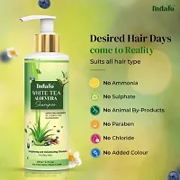 Indalo White Tea Aloevera Strengthening Shampoo (200ml) and Conditioner (200ml) Combo with Licorice and Blue Berries for Oily Hair Paraben Free Sulphate Free For Men and Women-thumb2