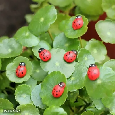 Red lady bug 20pcs-thumb0