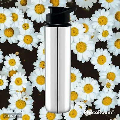 New Stainless Steel Water Bottles-thumb0