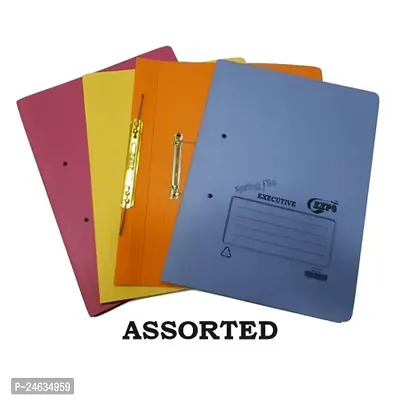 EXPO- Executive Spring File 540 gsm - Color May Vary (Pack of 30 pcs)