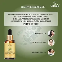 Premium Eucalyptus Essential Oil (30 Ml)-thumb2