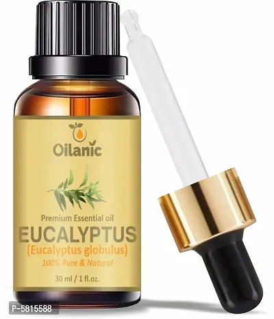 Premium Eucalyptus Essential Oil (30 Ml)