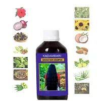 Adivasi Kadambari Herbal Hair Shampoo For Strong, Healthy and Shiny Hairnbsp;(125ml) Pack of 1-thumb4