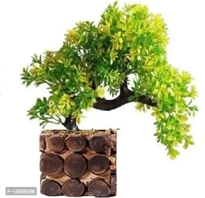 Hyperboles Artificial Bonsai Plant with Wooden Pot - 20 CM-thumb0