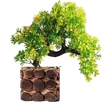 Hyperboles Artificial Bonsai Plant with Wooden Pot - 20 CM-thumb1